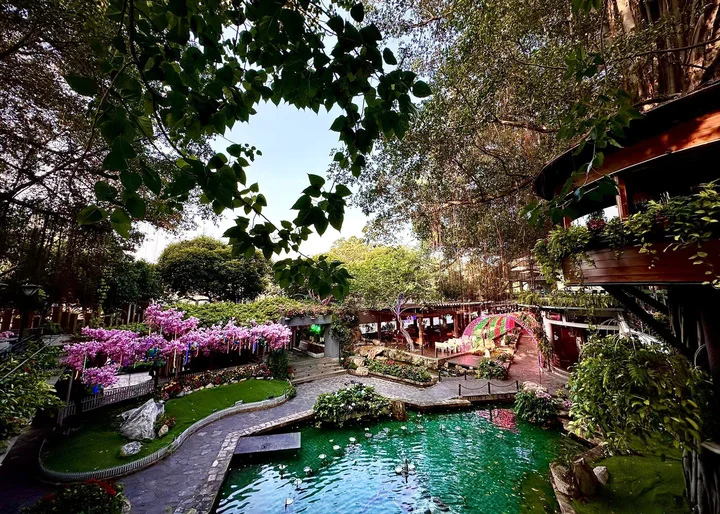 Du Miên Garden Coffee rộng rãi, có những “ngôi nhà gỗ” trên cây cổ thụ.