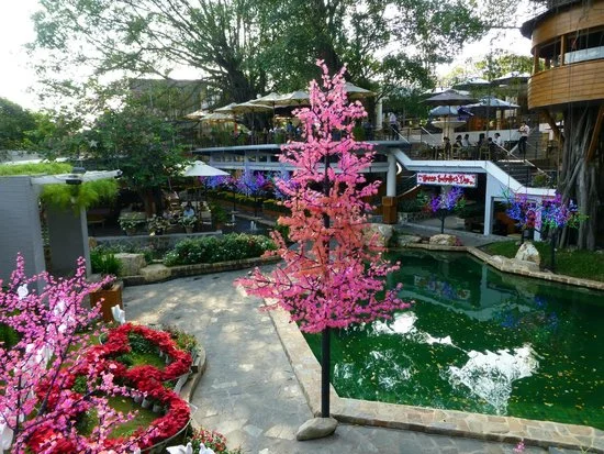Du Miên Garden Cafe in Go Vap, Ho Chi Minh City, Vietnam - Apple Maps