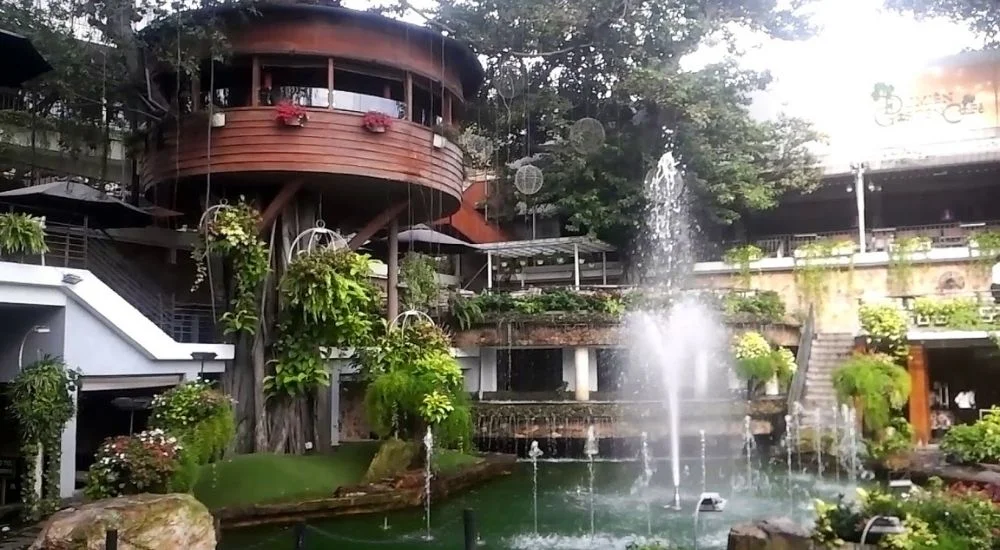 Du Miên Garden – Quán cafe Gò Vấp nổi bật với không gian xanh mát (Ảnh: Sưu tầm internet)