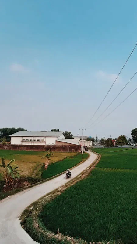 Hình ảnh chill lofi phong cảnh bình yên - hình 5