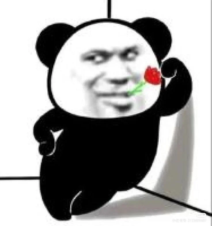 Meme gấu trúc có khuôn mặt người cầm hoa hồng với biểu cảm hài hước