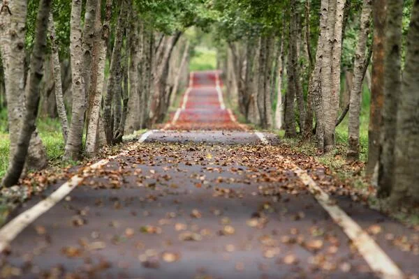 hình nền đẹp con đường